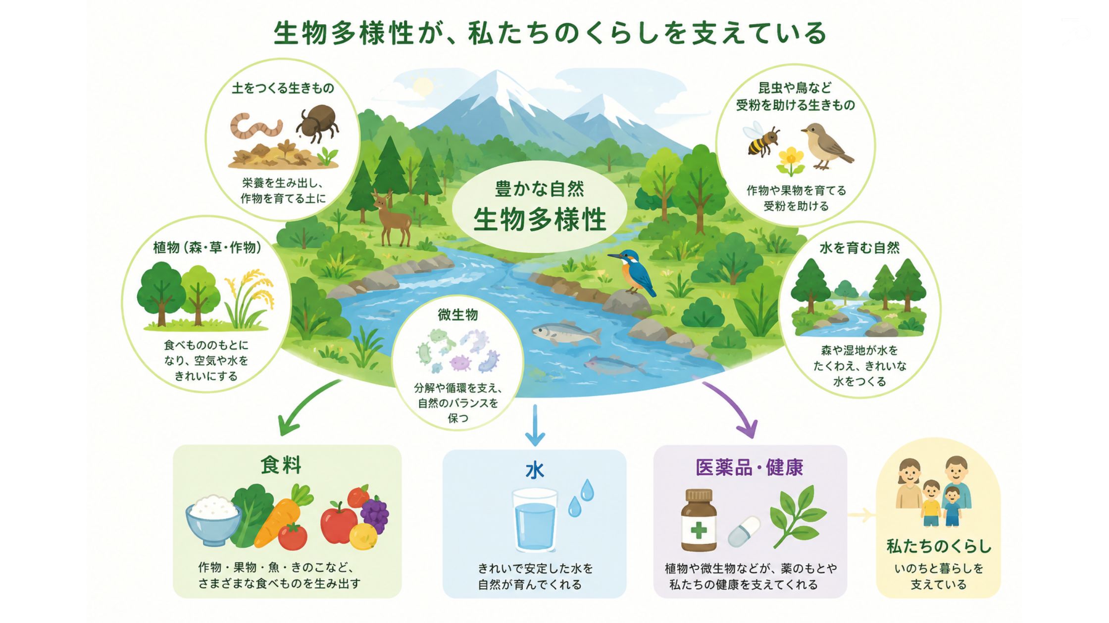生物多様性が食料・水・医薬品・私たちのくらしを支えていることを示す図解